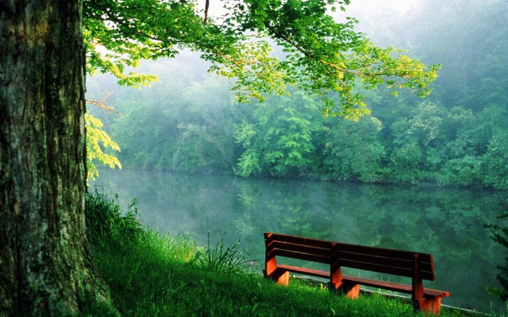 peace